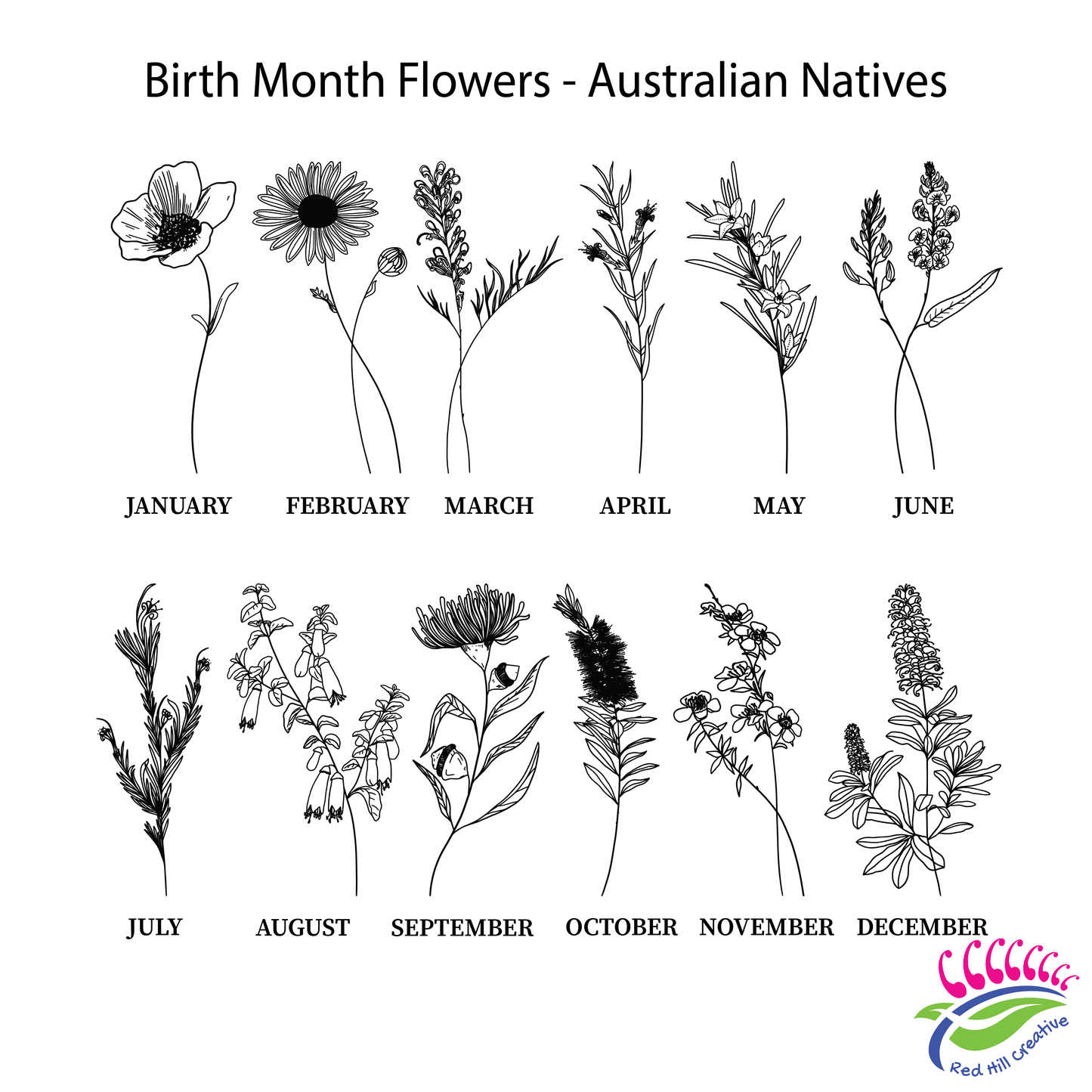 Nanny/Grandma/Grandad/Pop's (etc) Garden Bamboo Australian Native Flowers Birth Month Sign | PERSONALISED