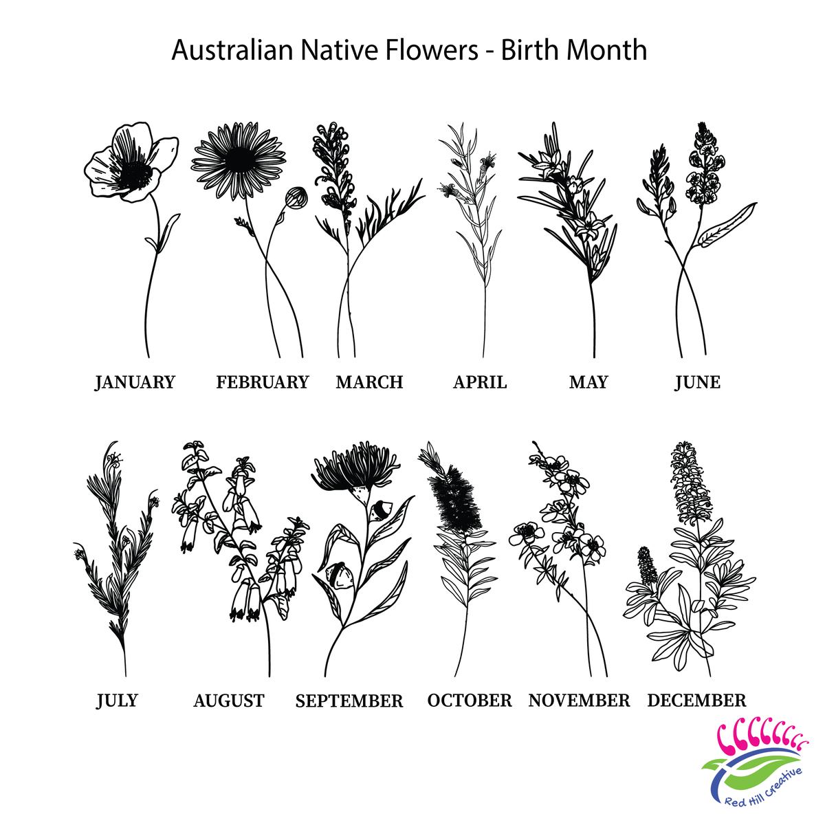 Native Flowers Names Nanny/Grandma/Grandad/Pop's (etc) Garden Bamboo Australian Native Flow ...
